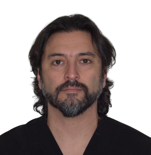 Luis Igor Palma Henríquez