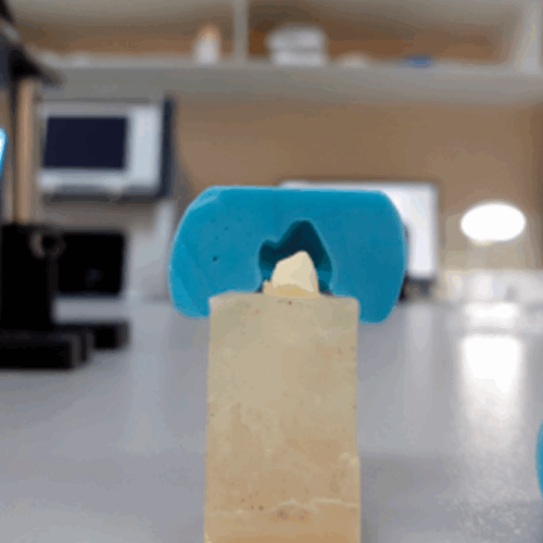 Investigadores UDD y UBB estudian comportamiento mecánico de dientes restaurados con cerámica